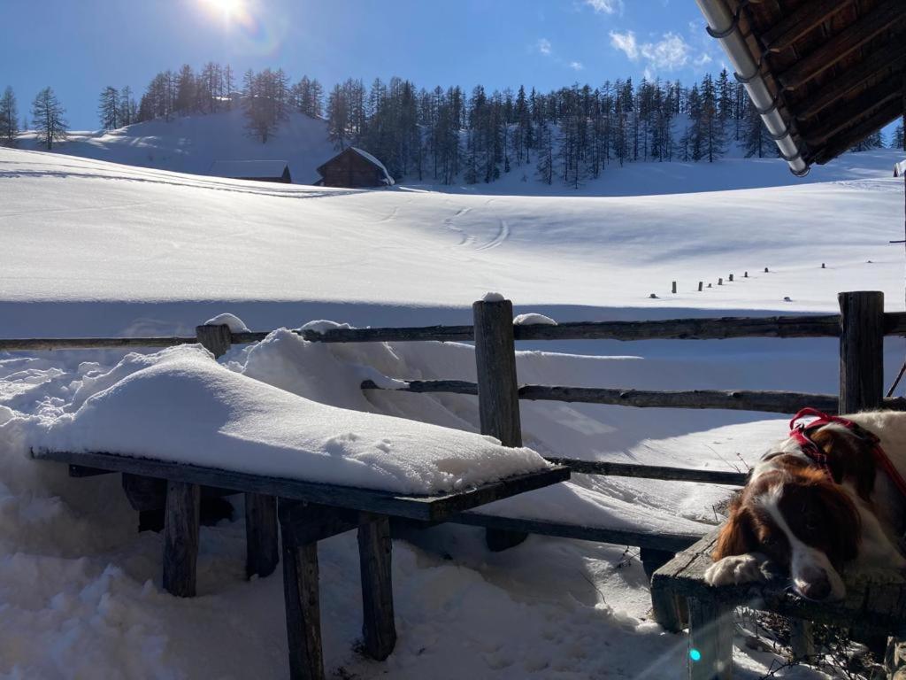 Appartementhaus Reiter Village Room Altenmarkt im Pongau Bagian luar foto